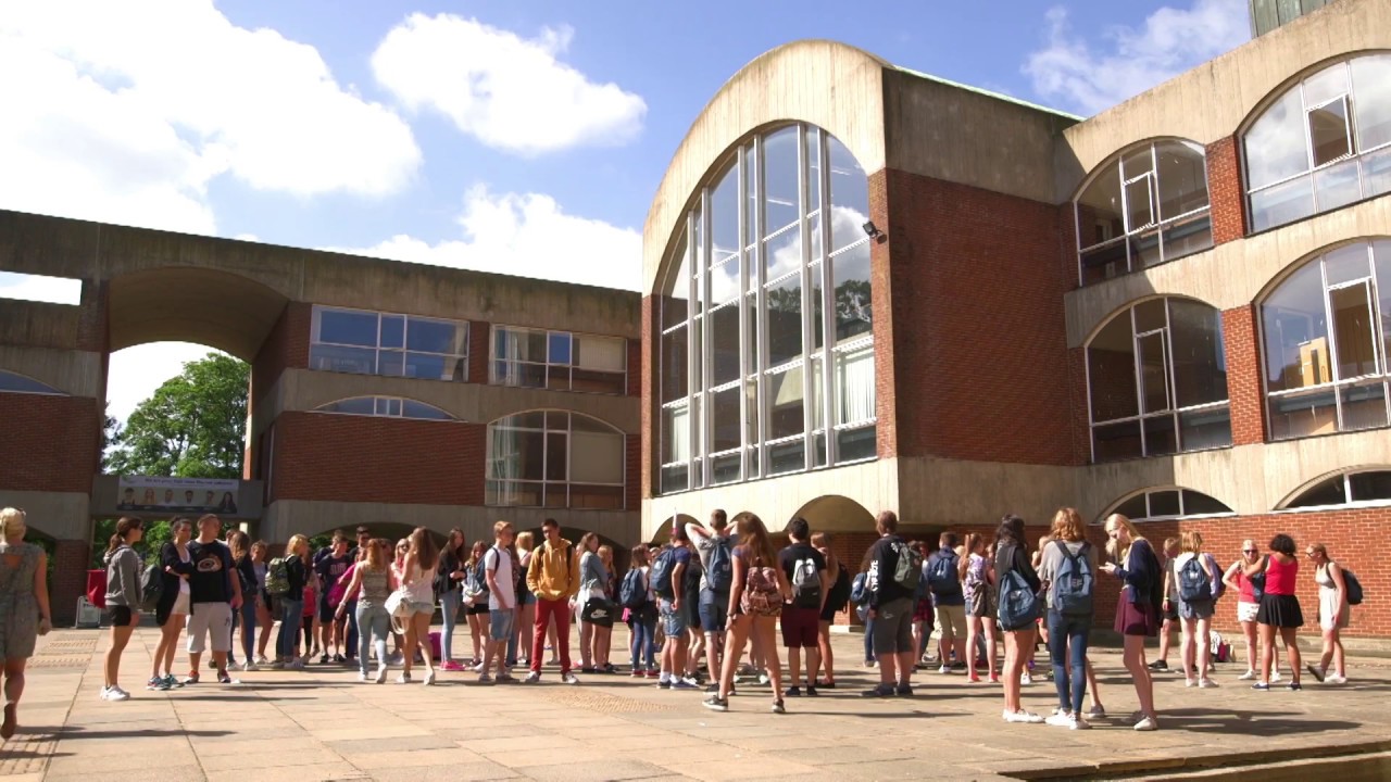 University of Sussex - an international overview