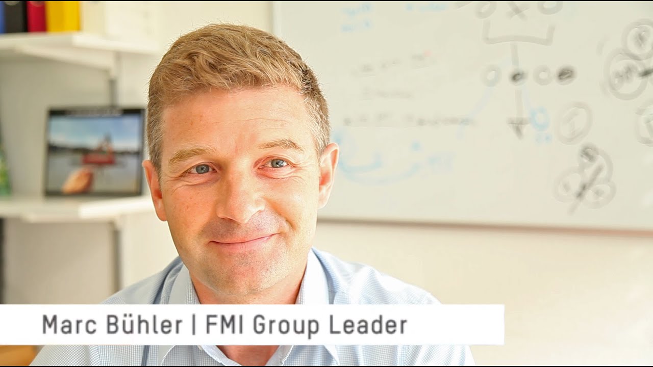 Marc Bühler  - Group leader at the Friedrich Miescher Institute for Biomedical Research