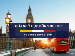 Copy of Copy of Copy of Copy of Copy of Copy of Copy of Copy of Copy of Copy of Copy of 2017 University College Cork SEFS Postgraduate Research Scholarships in Food Science Ireland