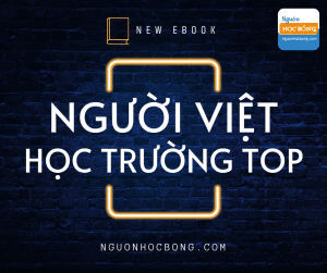NGUOI VIET TAI TRUONG TOP 1