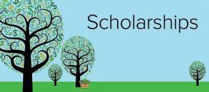 cac nguon hoc bong du hoc anh