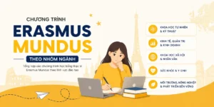 chương trình Erasmus Mundus theo nhóm ngành