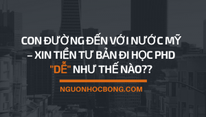 huong dan apply hoc bong PhD