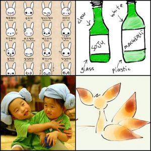 nguonhocbong.com duhochanquoc14.png