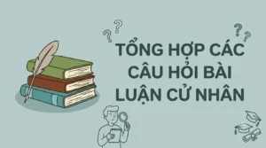 Tổng hợp câu hỏi bài luận du học bậc cử nhân khắp thế giới